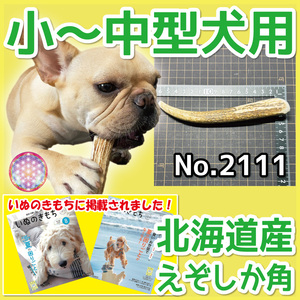 ■ 小～中型犬用 ■ 天然 北海道産 蝦夷鹿の角 ■ 1本 ■ 犬のおもちゃ ■ 無添加 エゾシカ ツノ 鹿の角 犬 21111