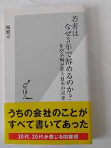 若者はなぜ3年で辞めるのか? 年功序列が奪う日本の未来 (光文社新書)