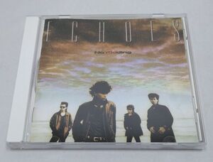 CD★ECHOES NO KIDDING 全12曲 32DH553 ノーキディング エコーズ