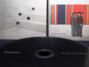 33_02130 Fantasia of Life Stripe / flumpool