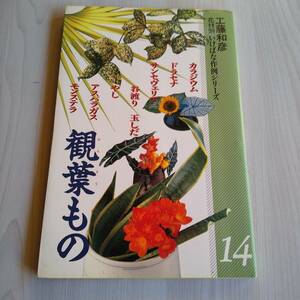 観葉もの 花材別いけばな作例シリーズ14 初版／工藤和彦／せんだん書房 三交社