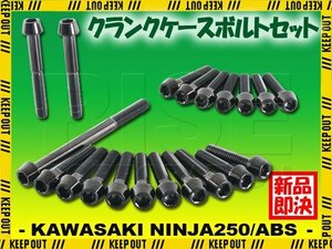 チタンボルト カワサキ Ninja250/ABS専用 ニンジャ250 EX250 2013-2014 クランクケース エンジンカバー ボルト セット 20本 ブラック ネジ