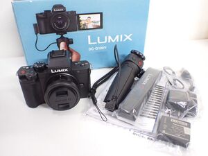 K185/8C□Panasonic パナソニック LUMIX 標準ズームレンズキット DC-G100 一眼レフカメラ ミラーレス 新品□