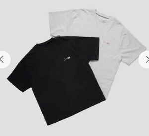 Lサイズ　2PACK T-SHIRT ADDITION X CDL BLACK&GREY 登坂広臣　Tシャツ　クレルナ