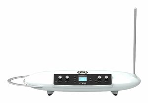 ★moog Theremini テルミン モーグ★新品送料込