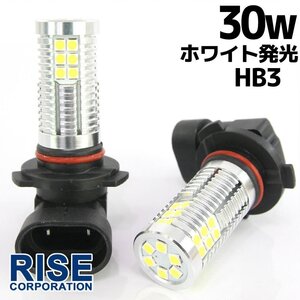 高輝度 30W LEDバルブ フォグランプ ヘッドライト ポジション HB3 ホワイト 白色 1000lm 30チップ 12V/24V車対応 無極性 2個セット