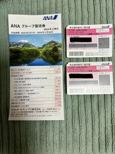 最新版ＡＮＡ全日空株主優待券　２枚＋グループ優待券クーポン冊