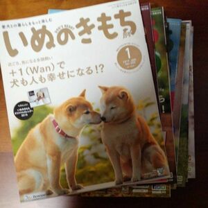 いぬのきもち　1年分（12冊）　201802～201901 即決