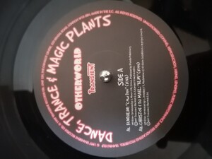 90s ゴアトランス Dance Trance Magic & Plants Other World 2LP 