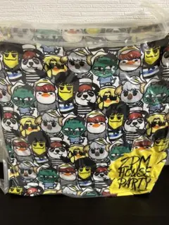 【 最終値下げ 】新品 2PM ジュノ HOUSE PARTY クッション