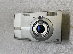 EPSON L-300