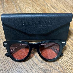 【美品】BLACK FLY FLY MAGNOLIA ブラックフライ フライマグノリア ミラーレンズ サングラス