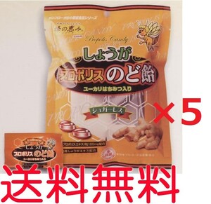 生姜（しょうが）プロポリス入りのど飴　80g ×5袋　キャンディー　代引可　送料無料