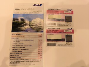 送料無料　ＡＮＡ株主優待券×2枚セット③　有効期限2025年5月31日まで 全日空　株主優待券 ２枚組 