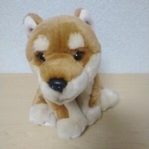 REGALO レガロ　柴犬　ぬいぐるみ