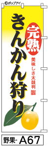 ふでのぼり きんかん狩り(野果-a67)幟 ノボリ 旗 筆書体を使用した一味違ったのぼり旗がお買得【送料込み】まとめ買いで格安