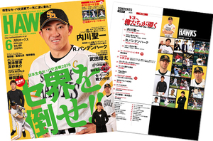 即決　送料無料 月刊ホークス’16.6 柳田悠岐 今宮健太 武田翔太 千賀滉大 和田毅 長谷川勇也 髙谷裕亮 バンデンバーグ 石川柊太 飯田優也