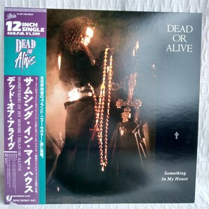 や369　SOMETHING IN MY HOUSE DEAD OR ALIVE サムシング・イン・マイ・ハウスレコード LP EP 何枚でも送料一律1,000円 再生未確認