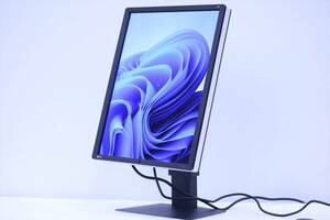 即配 使用551時間 21.3型 カラー液晶モニター 省スペース 医用 EIZO RadiForce RX250