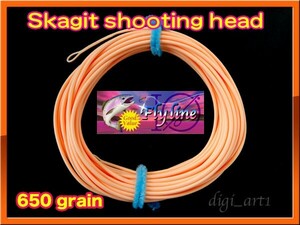 【イオ】スカジット シューティングヘッド Skagit 650grain ★★