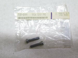 BMW R1200GS E39 E61 E52 ファントムRR1 51247217793 ネジ ボルト スクリュー 2本 M6X26 純正 未使用 TR050402.95