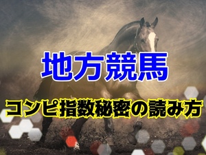 コンピ指数斜め読みで発見！地方競馬回収率150%を獲得した馬券術 ロジック公開 一発判定ソフト 日刊コンピ 極ウマ 副業 完全オリジナル