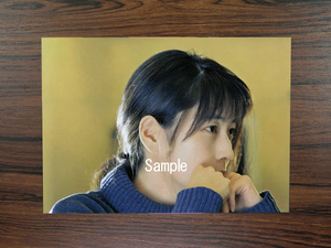 坂井泉水(ZARD・蒲池幸子) 2L写真　No.426