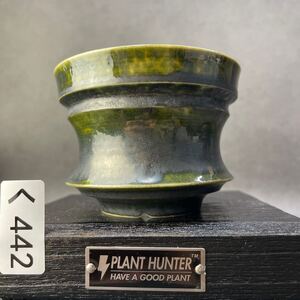 く442 HAND Made 植木鉢 陶器検（アガベ パキプス invisible ink raw life factory SRL 楽カタチ製作所 グラキリス 塊根植物 信楽焼 亀甲竜