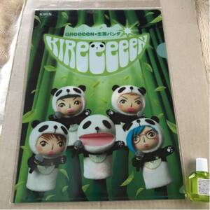 送料無料 即決 GREEEEN 生茶パンダ クリアファイル