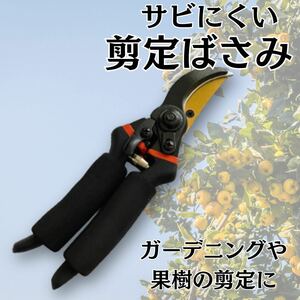 剪定鋏　剪定バサミ　剪定はさみ　ガーデニング　枝切り　花切り　SK-5 チタン　果樹　剪定　摘果　盆栽 園芸用品 生花 