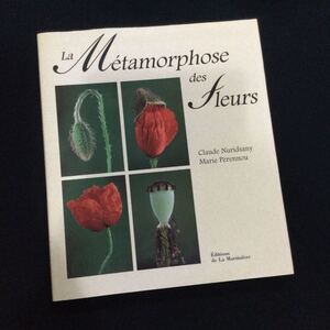 Metamorphose 花　写真集　洋書　フラワー　Flower 変化　植物