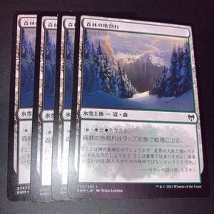 4枚組 森林の地割　ギャザリング mtg カルドハイム