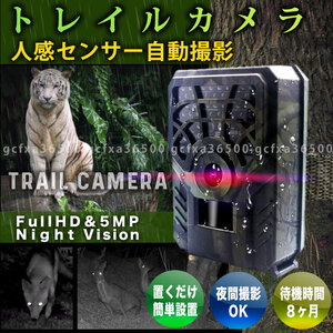 トレイルカメラ 防犯 1個 監視 小型 720P IP54 PIR 解像度 闇バイト 屋外 熱感知 赤外線 人感センサー 配線不要 電池式 防水 庭 駐車場 008