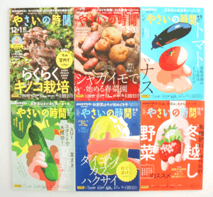 未使用品★NHK趣味の園芸 やさいの時間★2023年12月~2024年11月の6冊★らくらくキノコ栽培★夏野菜★ダイコン★冬越し野菜★送料860円～