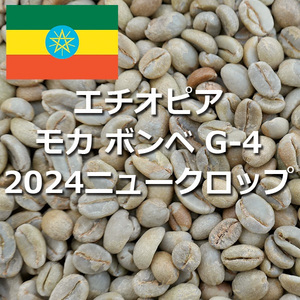 珈琲生豆 エチオピア モカ ボンベ G-4 コーヒー生豆 1kg 2024年 ニュークロップ シダモ 