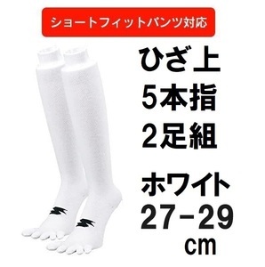 27.28.29cm ホワイト 5本指 2足組 SSK エスエスケイ ひざ上 膝上 ロング 白 野球 アンダー ストッキング ソックス