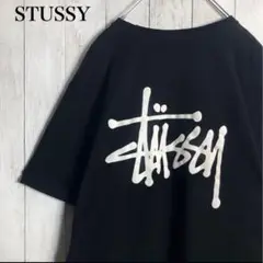 【定番デザイン】ステューシー STUSSY バックプリント 半袖Tシャツ 黒