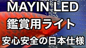 最近注文増えてます　1200水槽用(112㌢)　安心安全の日本仕様　MAYIN LED 観賞用ライト　マイン　マインライト　100V アロワナ　金魚