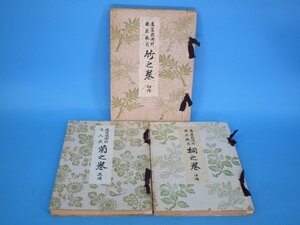 旧嵯峨御流 舊嵯峨御所 盛花瓶花 竹之巻　菊乃巻　桐之巻　古書　3冊まとめて　クラフトシート梱包　（池　TKR41