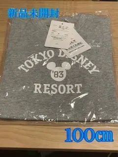 東京ディズニーリゾート　Tシャツ　100㎝　新品未開封