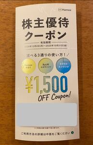 Hamee 株主優待1500円 コード通知のみ