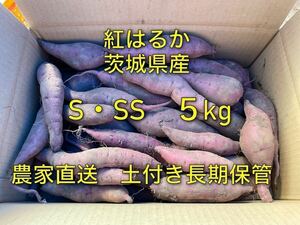 土屋付き　紅はるか　べにはるか　S・SSサイズ(50〜200g)　5kg さつまいも 茨城県産　5キロ　長期保管向け　追熟