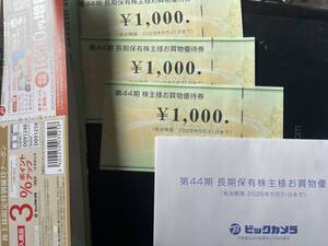 ビッグカメラ 株主優待券 1,000円分×3枚