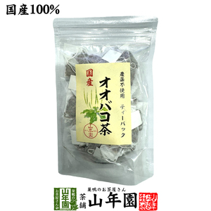 お茶 健康茶 国産 100% オオバコ茶ティーパック 1.5g×20p 無農薬 ノンカフェイン 宮崎県産