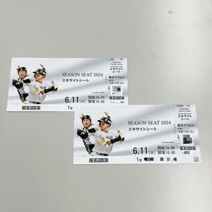 6月11日(火)18時00分開始 ヤクルト戦 ペア ホークス観戦チケット 内野A指定席 （通路側席含）