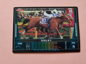 カネヒキリ S HORSERIDERS KONAMI