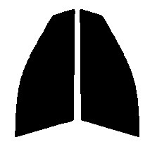 クリア　８８％　運転席、助手席　インスパイア　UA4・UA5　カット済みフィルム