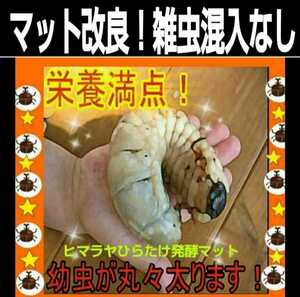 雑虫わきません！カブトムシ幼虫が大きくなる！改良版！完全室内製造！栄養添加剤配合☆発酵マット【3袋】保存にも便利なチャック付き袋入