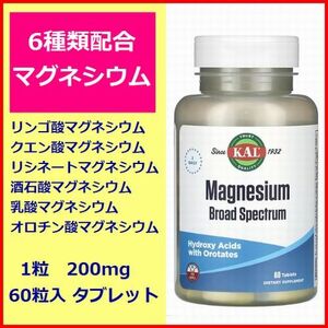 マグネシウム ミックス 広域スペクトル 6種類マグネシウム配合 60粒 200mg 睡眠 脳 神経 必須ミネラル サプリメント KAL