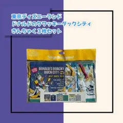 【大人気キャラクター！】ドナルドクワッキーダックシティシティきんちゃく3枚セット